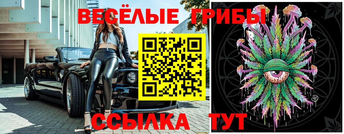 Псилоцибиновые грибы Psilocybine cubensis Артём