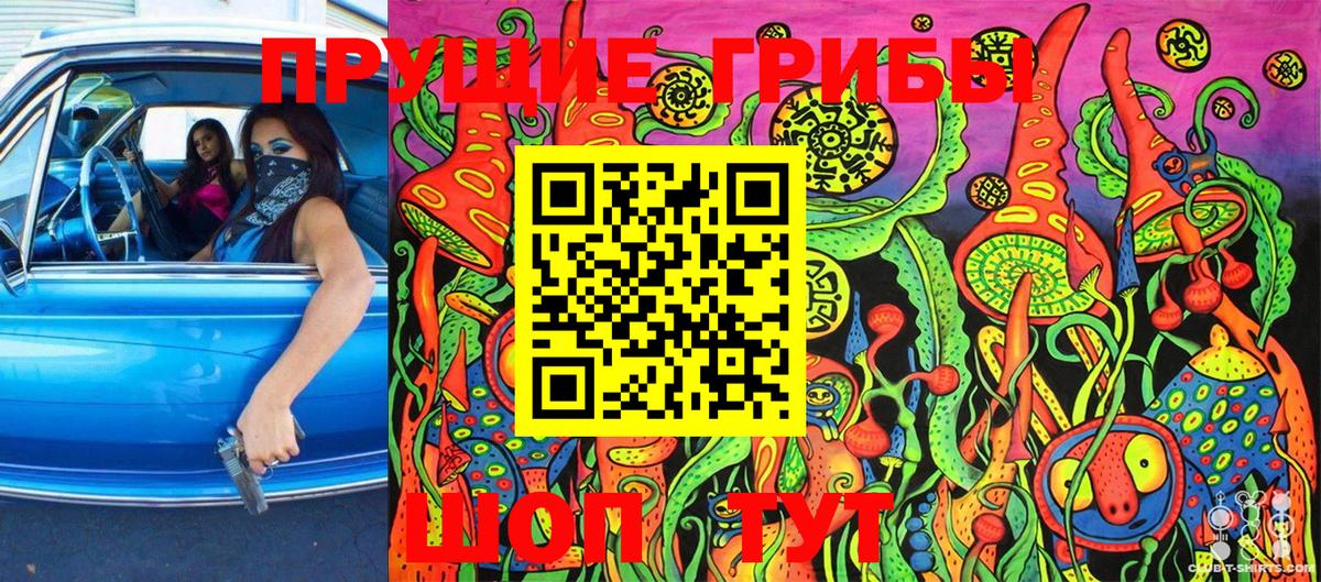 Артём  Галлюциногенные грибы Cubensis  Вход с VPN 